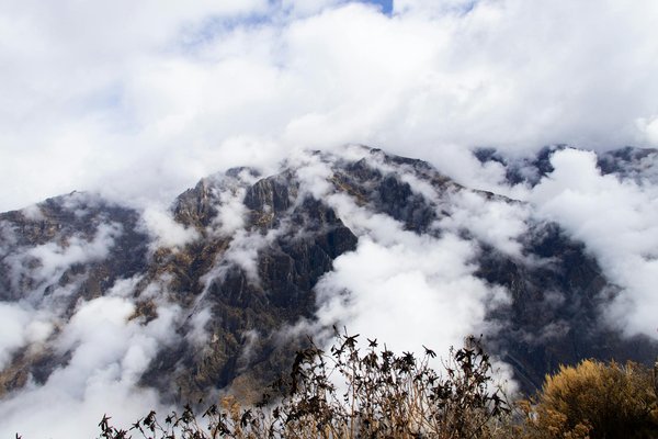 What are the most affordable beach destinations in the UK for summer vacations?